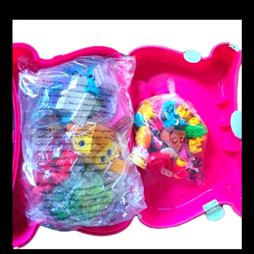 LEGO Duplo 246-Piece Mix Lox Figures Cat Food Furniture Blocks  Frozen Case Toy
